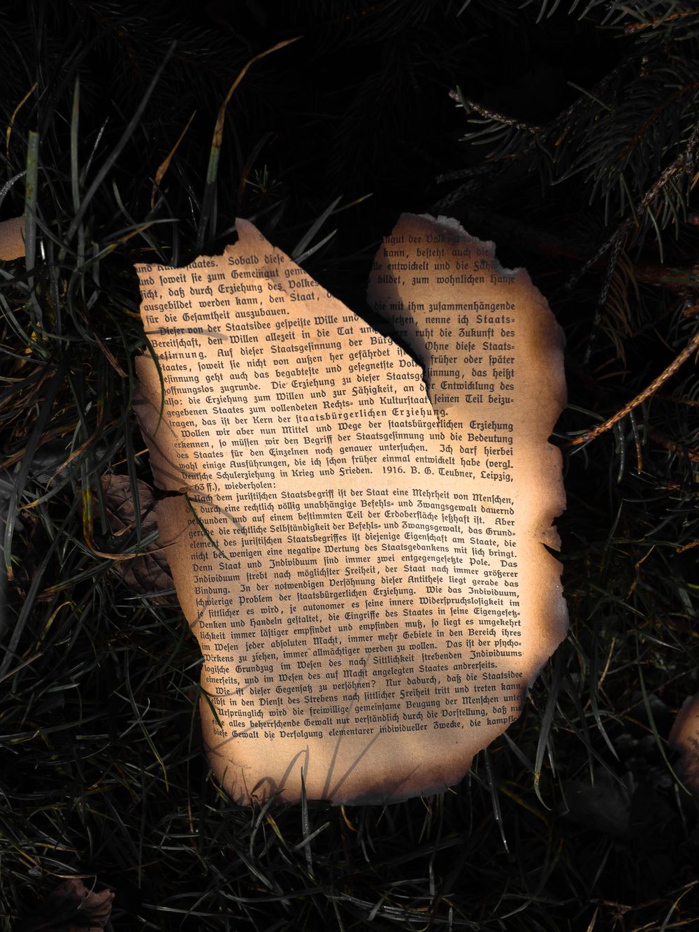 Scorched, browned edge of a page, no flame